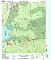Pineland South Texas Historical topographic map, 1:24000 scale, 7.5 X 7.5 Minute, Year 2003