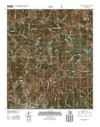 Pineland North Texas Historical topographic map, 1:24000 scale, 7.5 X 7.5 Minute, Year 2010