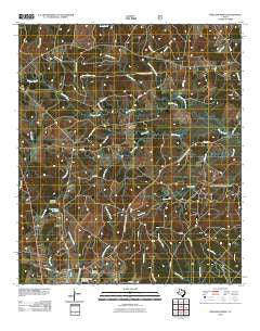 Pineland North Texas Historical topographic map, 1:24000 scale, 7.5 X 7.5 Minute, Year 2010