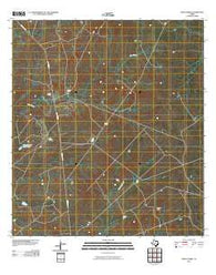Pinto Creek Texas Historical topographic map, 1:24000 scale, 7.5 X 7.5 Minute, Year 2010