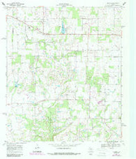 Pioneer Texas Historical topographic map, 1:24000 scale, 7.5 X 7.5 Minute, Year 1969