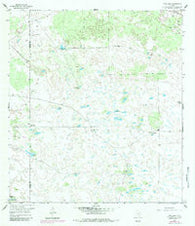 Pita Camp Texas Historical topographic map, 1:24000 scale, 7.5 X 7.5 Minute, Year 1956