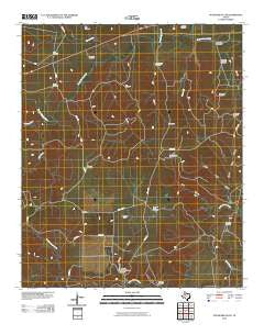 Pitchfork Flats Texas Historical topographic map, 1:24000 scale, 7.5 X 7.5 Minute, Year 2010