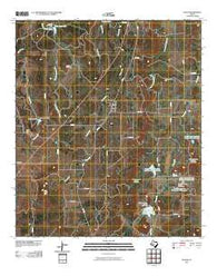Placid Texas Historical topographic map, 1:24000 scale, 7.5 X 7.5 Minute, Year 2010