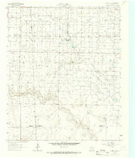 Plains 1 NE Texas Historical topographic map, 1:24000 scale, 7.5 X 7.5 Minute, Year 1965