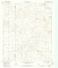 Plains 1 SE Texas Historical topographic map, 1:24000 scale, 7.5 X 7.5 Minute, Year 1969