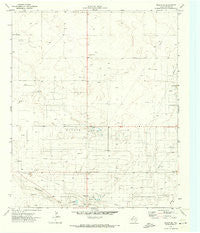 Plains SE Texas Historical topographic map, 1:24000 scale, 7.5 X 7.5 Minute, Year 1971