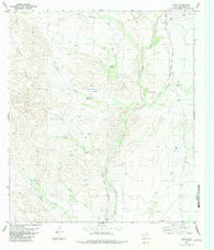 Plata Texas Historical topographic map, 1:24000 scale, 7.5 X 7.5 Minute, Year 1983