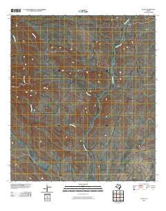 Plata Texas Historical topographic map, 1:24000 scale, 7.5 X 7.5 Minute, Year 2010