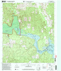 Platt Texas Historical topographic map, 1:24000 scale, 7.5 X 7.5 Minute, Year 2003