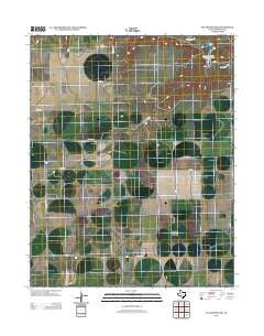 Pleasure Pond Texas Historical topographic map, 1:24000 scale, 7.5 X 7.5 Minute, Year 2012