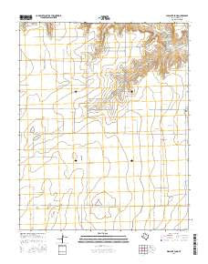 Pleasure Pond Texas Current topographic map, 1:24000 scale, 7.5 X 7.5 Minute, Year 2016