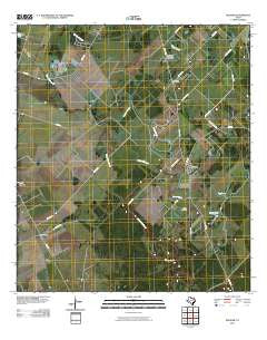 Pledger Texas Historical topographic map, 1:24000 scale, 7.5 X 7.5 Minute, Year 2010