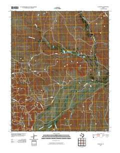 Plemons Texas Historical topographic map, 1:24000 scale, 7.5 X 7.5 Minute, Year 2010