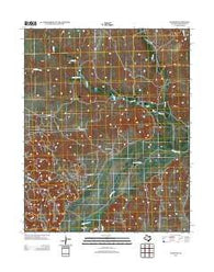 Plemons Texas Historical topographic map, 1:24000 scale, 7.5 X 7.5 Minute, Year 2013
