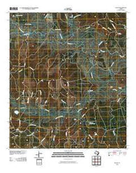 Pluck Texas Historical topographic map, 1:24000 scale, 7.5 X 7.5 Minute, Year 2010