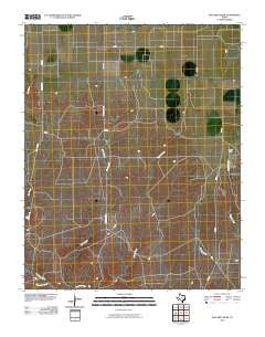 Pollard Creek Texas Historical topographic map, 1:24000 scale, 7.5 X 7.5 Minute, Year 2010