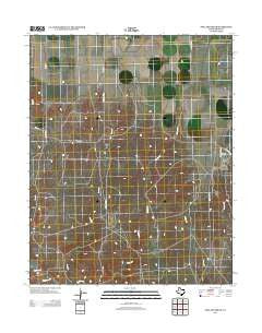 Pollard Creek Texas Historical topographic map, 1:24000 scale, 7.5 X 7.5 Minute, Year 2012