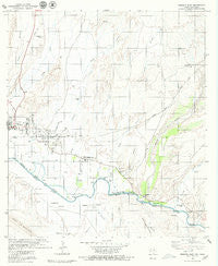 Presidio East Texas Historical topographic map, 1:24000 scale, 7.5 X 7.5 Minute, Year 1979