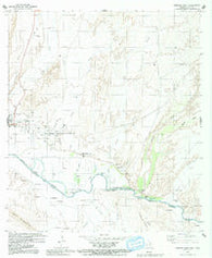 Presidio East Texas Historical topographic map, 1:24000 scale, 7.5 X 7.5 Minute, Year 1979