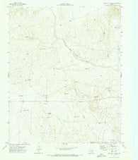 Proctor Ranch Texas Historical topographic map, 1:24000 scale, 7.5 X 7.5 Minute, Year 1971