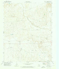 Proctor Ranch Texas Historical topographic map, 1:24000 scale, 7.5 X 7.5 Minute, Year 1971