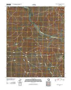 Proctor Ranch Texas Historical topographic map, 1:24000 scale, 7.5 X 7.5 Minute, Year 2010