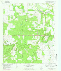 Proffitt Crossing Texas Historical topographic map, 1:24000 scale, 7.5 X 7.5 Minute, Year 1966