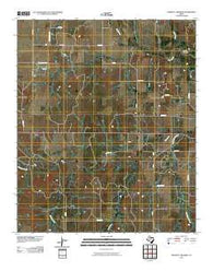 Proffitt Crossing Texas Historical topographic map, 1:24000 scale, 7.5 X 7.5 Minute, Year 2010