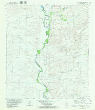 Pueblo Nuevo Texas Historical topographic map, 1:24000 scale, 7.5 X 7.5 Minute, Year 1979