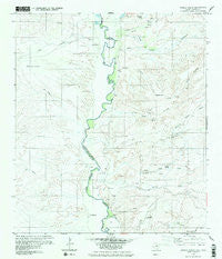 Pueblo Nuevo Texas Historical topographic map, 1:24000 scale, 7.5 X 7.5 Minute, Year 1979