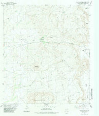 Puerto Potrillo Texas Historical topographic map, 1:24000 scale, 7.5 X 7.5 Minute, Year 1983