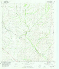 Pumpville Texas Historical topographic map, 1:24000 scale, 7.5 X 7.5 Minute, Year 1980