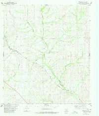 Pumpville Texas Historical topographic map, 1:24000 scale, 7.5 X 7.5 Minute, Year 1980