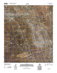 Pyote NE Texas Historical topographic map, 1:24000 scale, 7.5 X 7.5 Minute, Year 2010