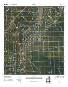 Quintana Texas Historical topographic map, 1:24000 scale, 7.5 X 7.5 Minute, Year 2010