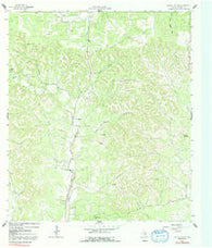 Rafter Hollow Texas Historical topographic map, 1:24000 scale, 7.5 X 7.5 Minute, Year 1964