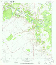Raisin Texas Historical topographic map, 1:24000 scale, 7.5 X 7.5 Minute, Year 1962