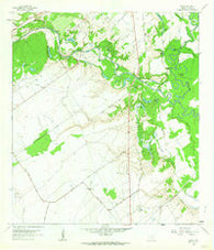 Raisin Texas Historical topographic map, 1:24000 scale, 7.5 X 7.5 Minute, Year 1962