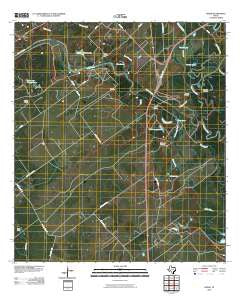 Raisin Texas Historical topographic map, 1:24000 scale, 7.5 X 7.5 Minute, Year 2010