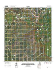 Raisin Texas Historical topographic map, 1:24000 scale, 7.5 X 7.5 Minute, Year 2013