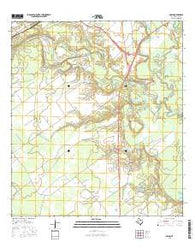 Raisin Texas Current topographic map, 1:24000 scale, 7.5 X 7.5 Minute, Year 2016