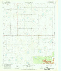 Ralls SE Texas Historical topographic map, 1:24000 scale, 7.5 X 7.5 Minute, Year 1967