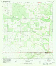 Ramirez Texas Historical topographic map, 1:24000 scale, 7.5 X 7.5 Minute, Year 1969