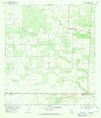 Ramirez Texas Historical topographic map, 1:24000 scale, 7.5 X 7.5 Minute, Year 1969