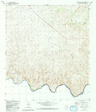 Ramsey Canyon Texas Historical topographic map, 1:24000 scale, 7.5 X 7.5 Minute, Year 1980