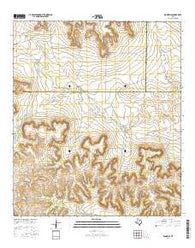 Rankin SE Texas Current topographic map, 1:24000 scale, 7.5 X 7.5 Minute, Year 2016
