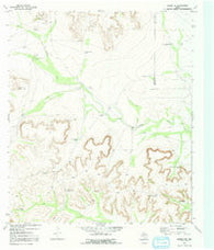 Ranskin SE Texas Historical topographic map, 1:24000 scale, 7.5 X 7.5 Minute, Year 1970