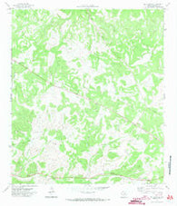 Ray Lake SE Texas Historical topographic map, 1:24000 scale, 7.5 X 7.5 Minute, Year 1971