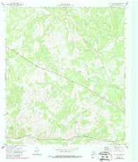 Ray Lake SE Texas Historical topographic map, 1:24000 scale, 7.5 X 7.5 Minute, Year 1971